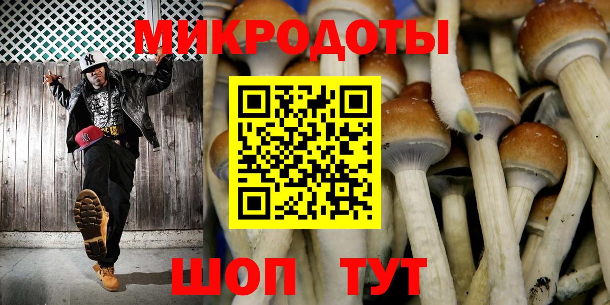 Псилоцибиновые грибы Cubensis  Вход с VPN  Губкин 
