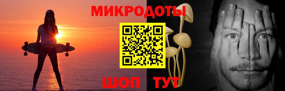 Галлюциногенные грибы Cubensis Губкин